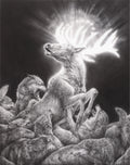 The Disenchantment