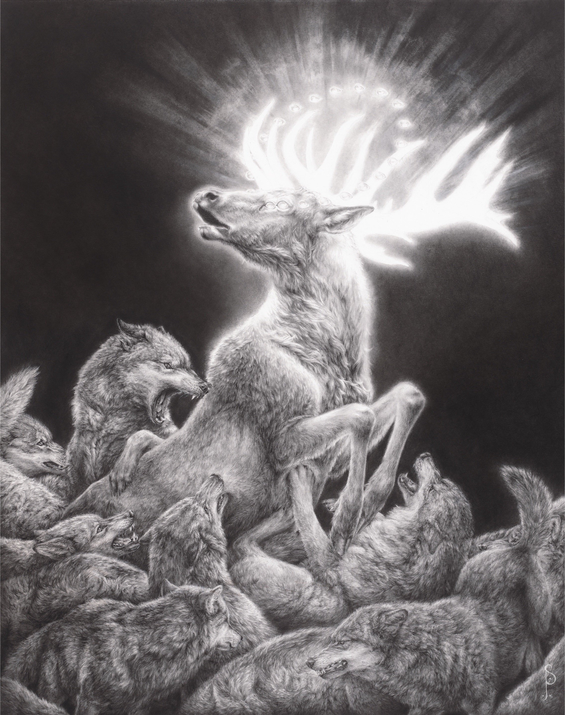The Disenchantment