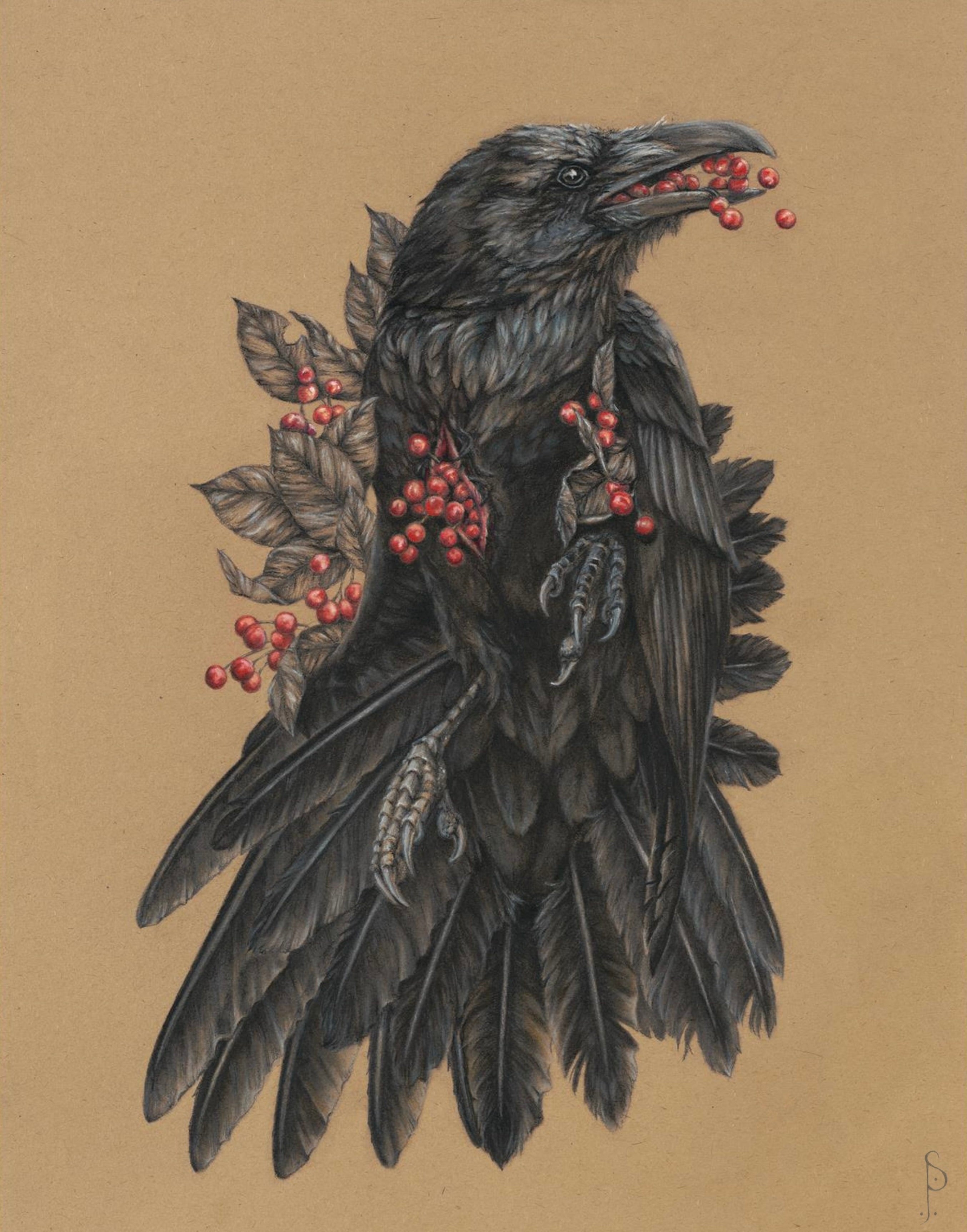 The Quietus of Muninn